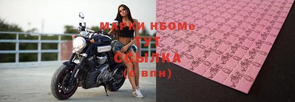 ГАЛЛЮЦИНОГЕННЫЕ ГРИБЫ Богданович