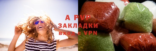 ГАЛЛЮЦИНОГЕННЫЕ ГРИБЫ Богданович
