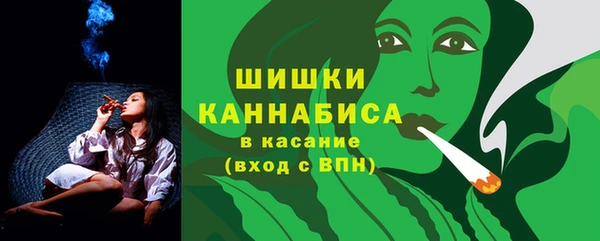 ГАЛЛЮЦИНОГЕННЫЕ ГРИБЫ Богданович