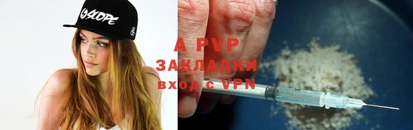 ГАЛЛЮЦИНОГЕННЫЕ ГРИБЫ Богданович