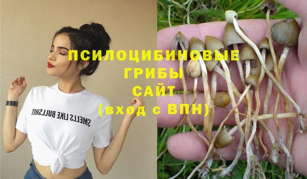 каннабис Богородицк