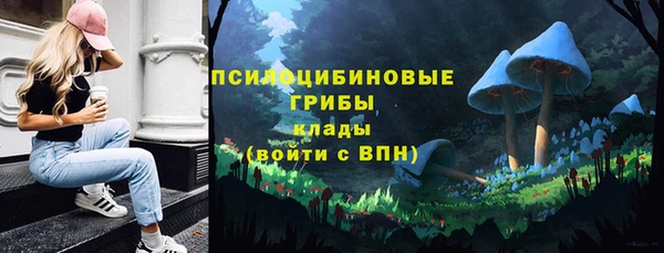 бутират Богородск