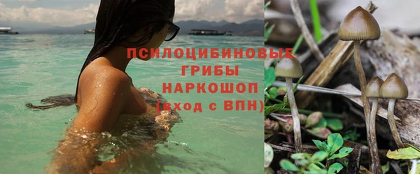 каннабис Богородицк