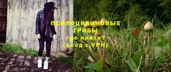 ГАЛЛЮЦИНОГЕННЫЕ ГРИБЫ Богданович