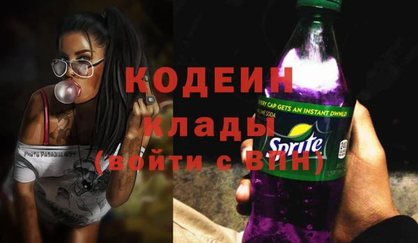 ГАЛЛЮЦИНОГЕННЫЕ ГРИБЫ Богданович