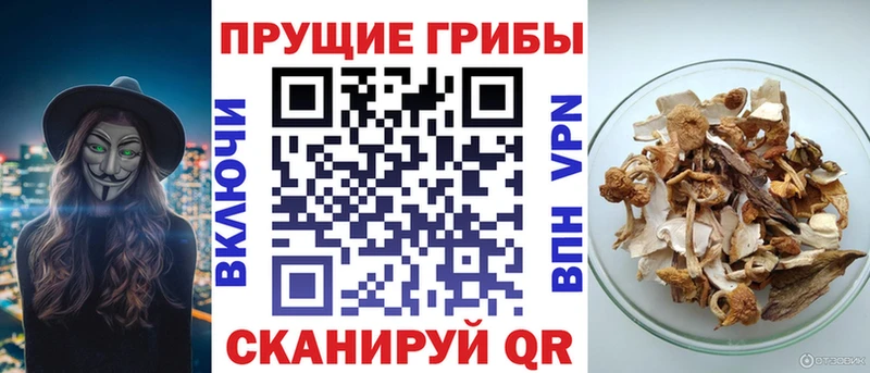 Псилоцибиновые грибы MAGIC MUSHROOMS  Рязань 